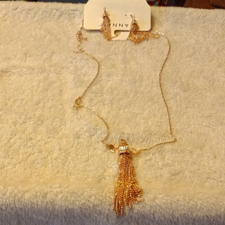 Gold Tassel Necklace And Earring Set